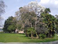 Stadtpark in Lugano  &ndash; &copy; Katrin Deutschbein (Eberhardt TRAVEL)