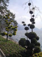 Stadtpark in Lugano  &ndash; &copy; Katrin Deutschbein (Eberhardt TRAVEL)