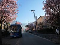 Ascona &ndash; &copy; Gisela Gerlach (Eberhardt TRAVEL)