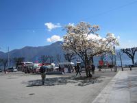 Lugano &ndash; &copy; Gisela Gerlach (Eberhardt TRAVEL)