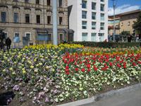 Lugano &ndash; &copy; Gisela Gerlach (Eberhardt TRAVEL)