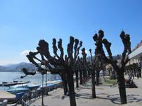 Lugano &ndash; &copy; Gisela Gerlach (Eberhardt TRAVEL)