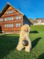 20221231_102147.jpg &ndash; &copy; Katrin Deutschbein (Eberhardt TRAVEL)