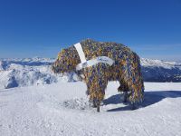 Bärenzettel &ndash; &copy; Andreas Kunzmann (Eberhardt TRAVEL)
