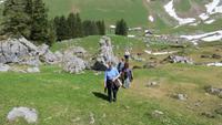 0127 Wanderung auf der Schwägalp &ndash; &copy; Annette Weise (Eberhardt TRAVEL)