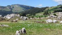 0128 Wanderung auf der Schwägalp &ndash; &copy; Annette Weise (Eberhardt TRAVEL)