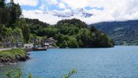 0423 Fahrt am Thunersee