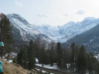 082 Blick zum Morteratsch-Gletscher &ndash; &copy; Annette Weise (Eberhardt TRAVEL)