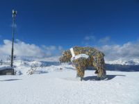 124  Arosa - auf dem Weisshorn  &ndash; &copy; Annette Weise (Eberhardt TRAVEL)