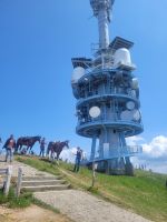 Rigi Funkturm &ndash; &copy; Steffi Zimmermann (Eberhardt TRAVEL)