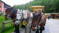 ... bereit zur Rückfahrt mit 3 PS... &ndash; &copy; Hartwig Köllner (Eberhardt TRAVEL)