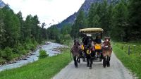 ..durch das Rosegtal zurück &ndash; &copy; Hartwig Köllner (Eberhardt TRAVEL)