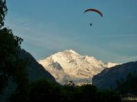 Blick zum Jungfraumassiv