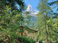 Waldidylle bei Zermatt &ndash; &copy; Steffen Mucke (Eberhardt TRAVEL)