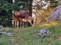 Auf der Schwägalp &ndash; &copy; Steffen Mucke (Eberhardt TRAVEL)
