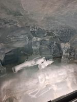 162 Jungfraujoch - Eispalast &ndash; &copy; Annette Weise (Eberhardt TRAVEL)