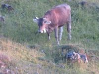 504 Schwägalp &ndash; &copy; Annette Weise (Eberhardt TRAVEL)
