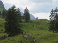 566 Schwägalp - Wanderung durch den Erlebnis Naturpark &ndash; &copy; Annette Weise (Eberhardt TRAVEL)