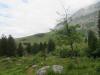 587 Schwägalp - Wanderung durch den Erlebnis Naturpark &ndash; &copy; Annette Weise (Eberhardt TRAVEL)
