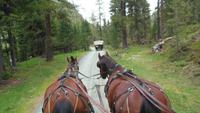 Rückfahrt vom Val Roseg nach Pontresina --hier mit Harry-und Sandra Rössli  &ndash; &copy; Sandra Rößle (Eberhardt TRAVEL)