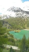 Alp Grüm &ndash; &copy; Sandra Rößle (Eberhardt TRAVEL)