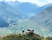 Bergidylle &ndash; &copy; Steffen Mucke (Eberhardt TRAVEL)