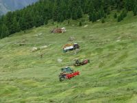 Die Wiesenmahd am Hang ist ein schweres Geschäft und verlangt Einsatz von Mensch und Maschine.  &ndash; &copy; Vivian Kreft (Eberhardt TRAVEL)