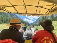 Durch das Tal Roseg kutschiert uns eine freundliche junge Frau &ndash; &copy; Sabine Letzybyll (Eberhardt TRAVEL)
