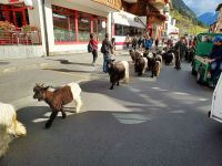 Zermatt &ndash; &copy; Steffen Mucke (Eberhardt TRAVEL)