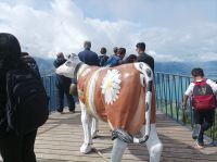 Interlaken, Harder Kulm &ndash; &copy; Gisela Gerlach (Eberhardt TRAVEL)