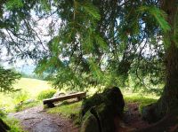 Schwägalp, Wanderung mit Elsbeth &ndash; &copy; Gisela Gerlach (Eberhardt TRAVEL)