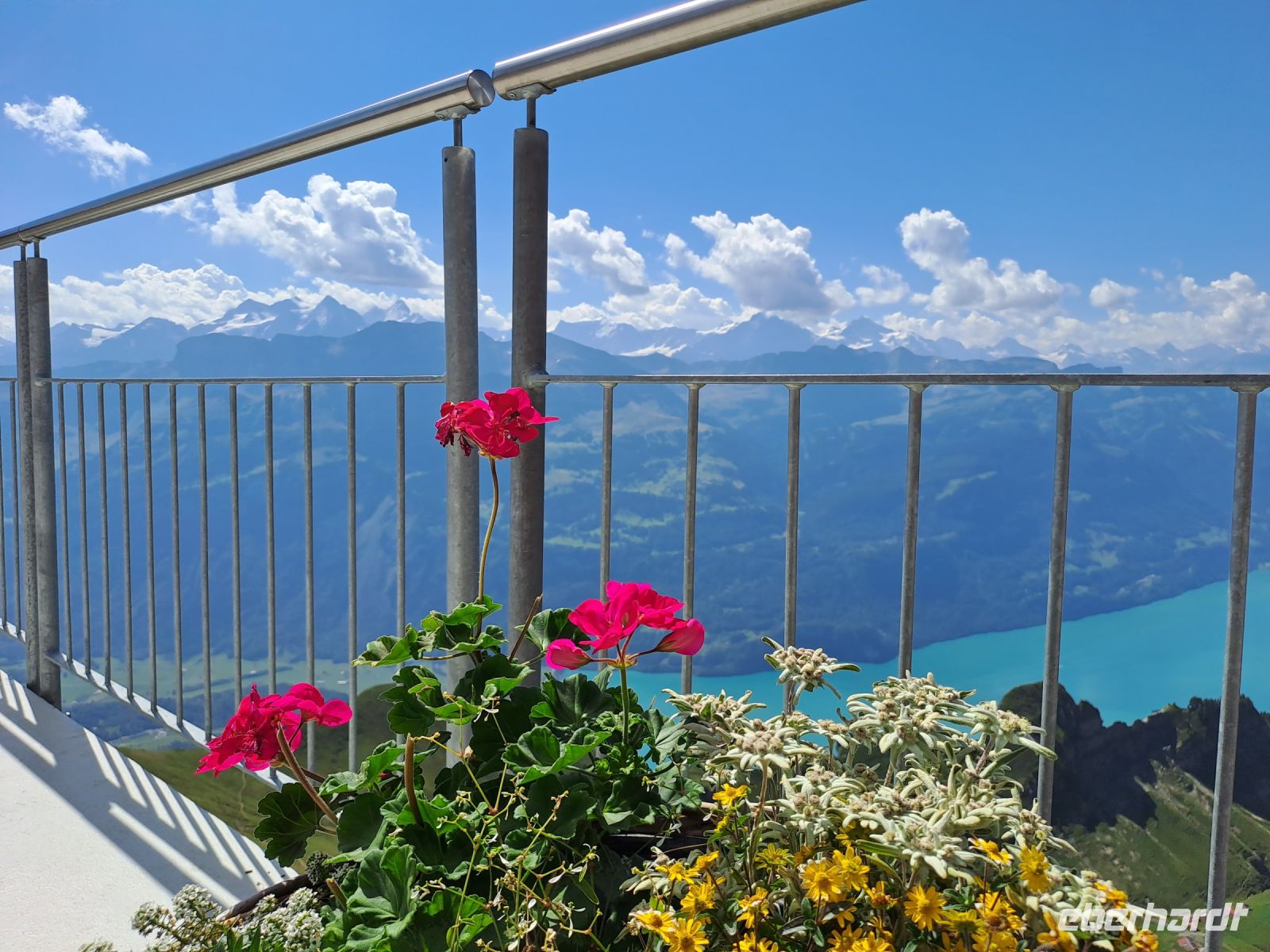 Blick Berner Oberland.jpg &ndash; &copy; Gisela Hohlfeld (Eberhardt TRAVEL)