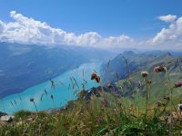 Brienzer See.jpg &ndash; &copy; Gisela Hohlfeld (Eberhardt TRAVEL)