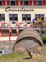Grimsel.jpg &ndash; &copy; Gisela Hohlfeld (Eberhardt TRAVEL)