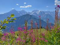 Panorama- Ausssicht.jpg &ndash; &copy; Gisela Hohlfeld (Eberhardt TRAVEL)