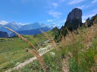 Wanderweg Daube.jpg &ndash; &copy; Gisela Hohlfeld (Eberhardt TRAVEL)