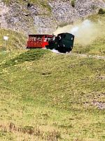 093 Talfahrt mit der  Brienzer Rothornbahn &ndash; &copy; Annette Probst-Weise (Eberhardt TRAVEL)