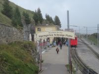 161 Ausflug zur Schynigen Platte -  &ndash; &copy; Annette Probst-Weise (Eberhardt TRAVEL)