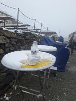 187 Ausflug Furka-Dampfbahn &ndash; &copy; Annette Probst-Weise (Eberhardt TRAVEL)