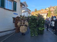 045 Urnäsch Silvester-Chläuse - die Wüsten &ndash; &copy; Annette Probst-Weise (Eberhardt TRAVEL)