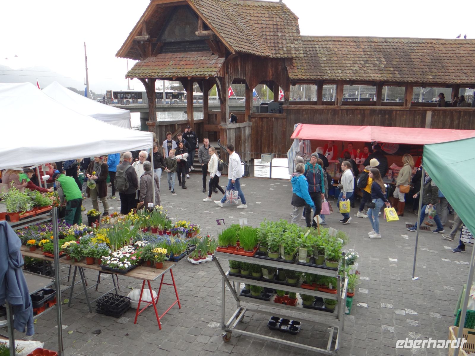 Luzern, am Samstag ist Markt. &ndash; &copy; Vivian Kreft (Eberhardt TRAVEL)