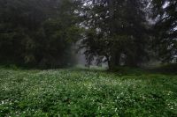 Blühende Wiese &ndash; &copy; Andreas Kunzmann (Eberhardt TRAVEL)