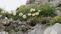 382 Auf den Pilatus &ndash; &copy; Annette Weise (Eberhardt TRAVEL)