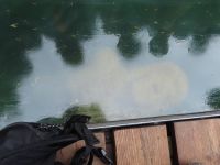 302 Kahnfahrt auf dem Blausee &ndash; &copy; Annette Probst-Weise (Eberhardt TRAVEL)