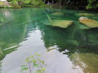318 Blausee &ndash; &copy; Annette Probst-Weise (Eberhardt TRAVEL)