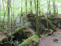 326 Blausee - Märchenwald &ndash; &copy; Annette Probst-Weise (Eberhardt TRAVEL)