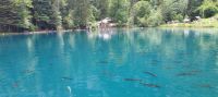 Freizeitpark. - Blausee &ndash; &copy; Ute Solf (Eberhardt TRAVEL)