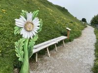 große Blume &ndash; &copy; G. Adamietz (Eberhardt TRAVEL)