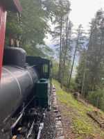 Im Wald &ndash; &copy; G. Adamietz (Eberhardt TRAVEL)