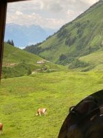 Wir werden verfolgt &ndash; &copy; G. Adamietz (Eberhardt TRAVEL)